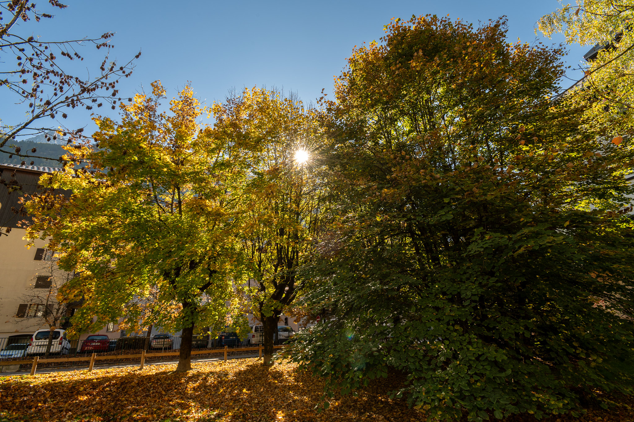 Roseraie-Alpes-travel-Chamonix-32