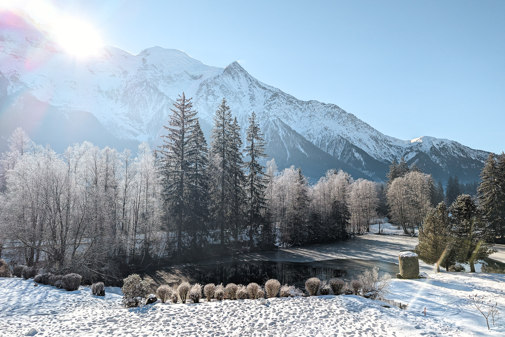 PXL_20250114_105747116-2