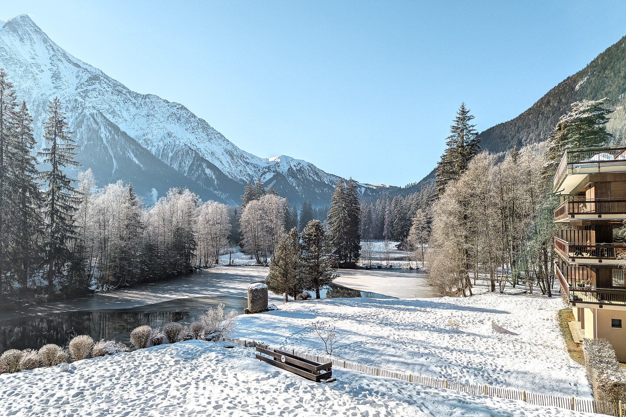 PXL_20250114_105839050-2