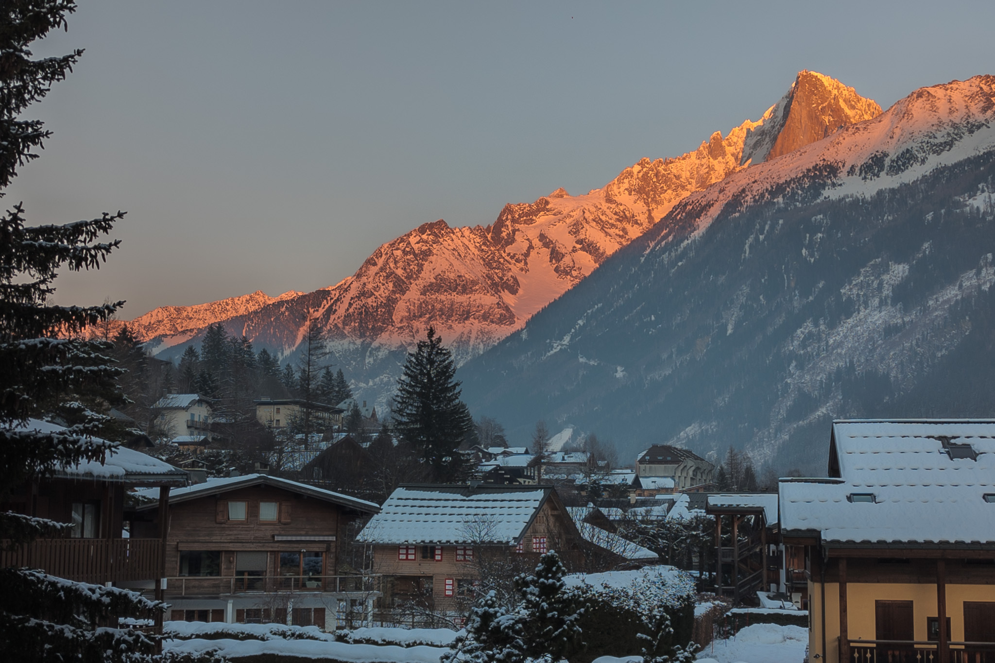 PXL_20250115_161219433.RAW-02.ORIGINAL-2